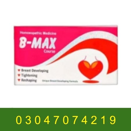 B-Max Course in Pakistan