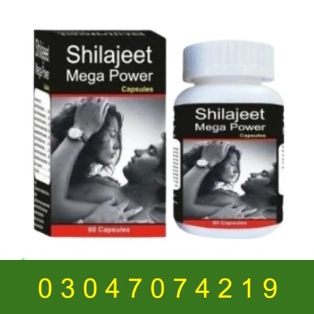 Shivalik Shilajeet Mega Power In Pakistan